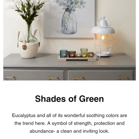 Meet your Posher, Lori - Picture 3 of 10